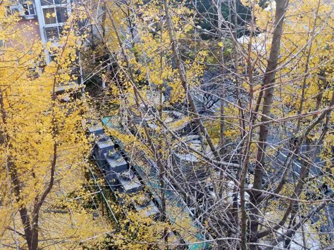 微信图片_20210406134244.jpg 微信图片_20210406134244.jpg